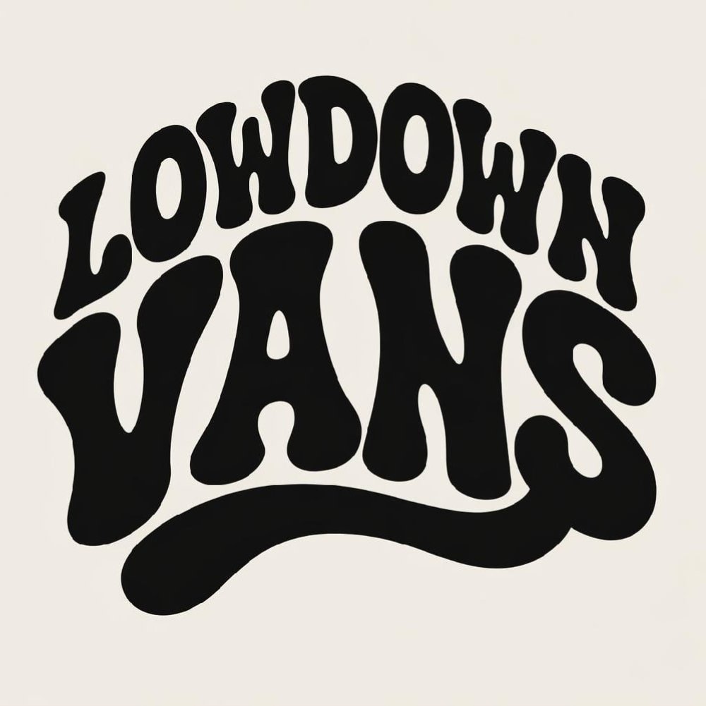 Image of New pack of 2 lowdown vans logo sticker