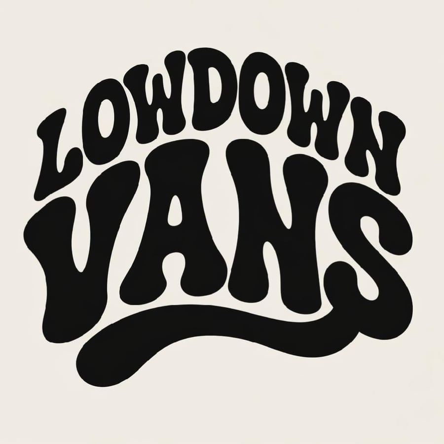 Image of New pack of 2 lowdown vans logo sticker