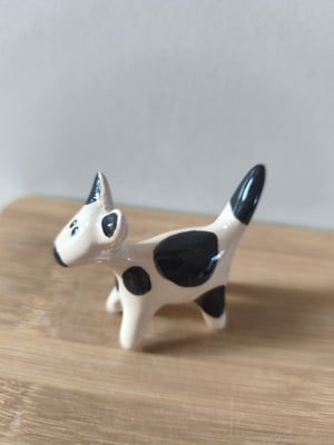 Image of Petit chien noir et blanc 