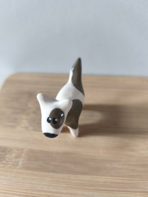 Image of Petit chien brun