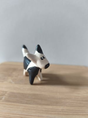 Image of  Petit chien blanc et noir 