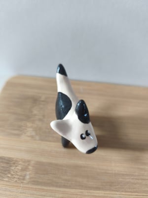 Image of  Petit chien blanc et noir 