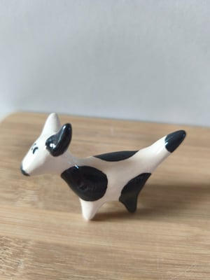 Image of  Petit chien blanc et noir 