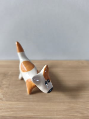 Image of  Petit chien roux