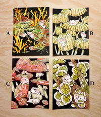 Fungi Cats (A/B/C/D)