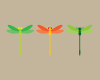 Image 3 of Insect Collection