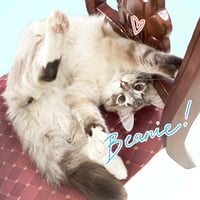 Image 3 of Beanie 3D Charm