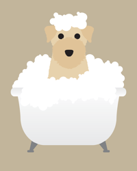 Image 2 of Wheaten Terrier Collection