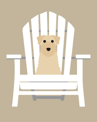 Image 3 of Wheaten Terrier Collection