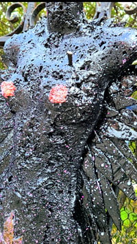 Image 2 of "SWEET CAMILLIA"