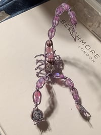 Lilac Rose Scorpion 