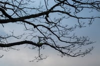 Image 5 of Architecture