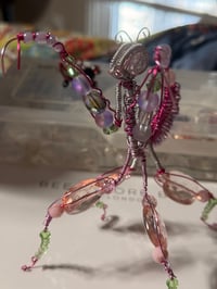Image 3 of Orcid Mantis: Pretty in Pink