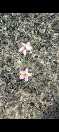 Image 4 of Coral Beach Fragrant Room & Linen Mist