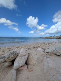 Image 2 of Coral Beach Fragrant Room & Linen Mist