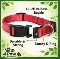 Image 3 of Collar Ajustable Reflectivo para Perros – Resistente y Seguro | 4Paw Blessed