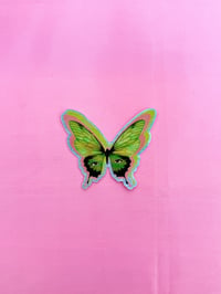 Image 1 of butterfly ʚїɞ