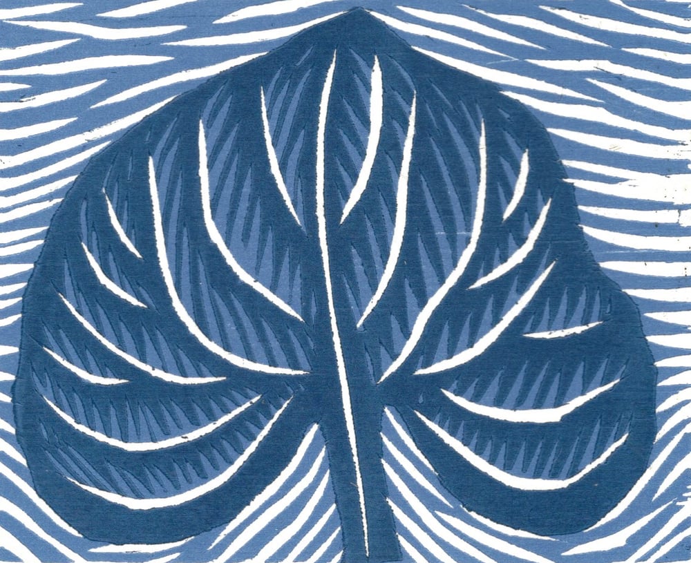 Image of Leaf in the Stream