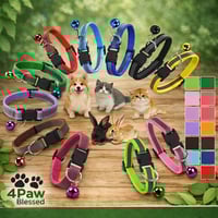 Image 2 of Collar Reflectivo para Gatos con Campanita – Ajustable One Size | 4Paw Blessed