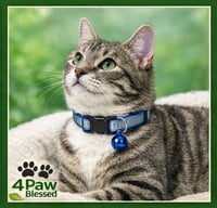Image 3 of Collar Reflectivo para Gatos con Campanita – Ajustable One Size | 4Paw Blessed