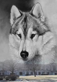 Image 2 of Redford Huskies High School Tee