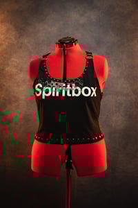Image 1 of 1X-3X Spiritbox Crop Top