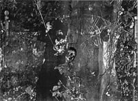 Image 3 of Dibikimitig-Dibikad MC