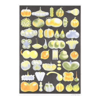 Image 1 of Pumpkins Poster/호박 포스터