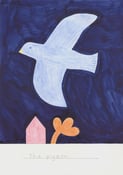 Image of "The pigeon"