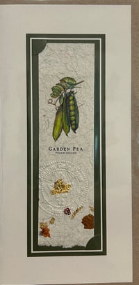 Image 1 of Joanna Gair Garden Pea