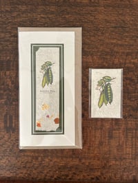 Image 2 of Joanna Gair Garden Pea