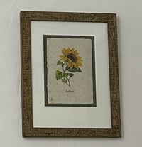 Image 3 of Joanna Gair Sunflower