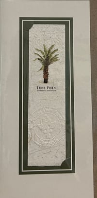 Image 1 of Joanna Gair Tree Fern