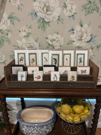 Image 2 of Joanna Gair Penguin