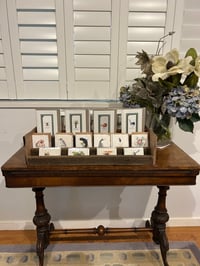 Image 3 of Joanna Gair Blue Wren