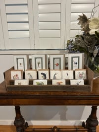 Image 2 of Joanna Gair Seahorse