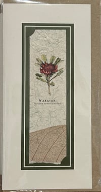 Image 1 of Joanna Gair Waratah