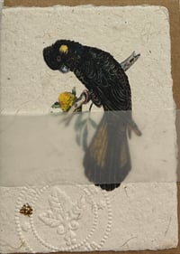 Image 1 of Joanna Gair Black Cockatoo
