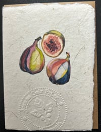 Image 1 of Joanna Gair Figs