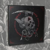 偏執症者 (PARANOID) - The First Ten Years, 5x12" Box set