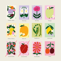 Image 3 of Postcard Set