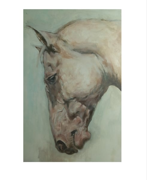 Image of Horse head study 
