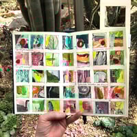 Image 5 of *NEW* Yellow/Pink Ratioed Thumbnails