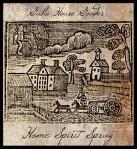 Home Spirit Spray Collection #37