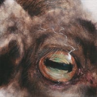 preystillsees (4x4, 8x8, 11x11 inches) fine art print