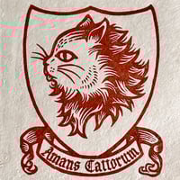 Image 1 of Cat Person