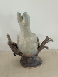 Image 5 of Donkey Watching the Birds