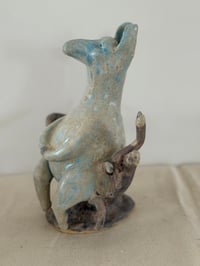 Image 4 of Donkey Watching the Birds