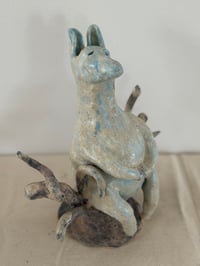 Image 3 of Donkey Watching the Birds