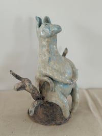 Image 1 of Donkey Watching the Birds